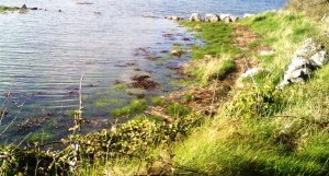 Duras Shore Photo: EO'D