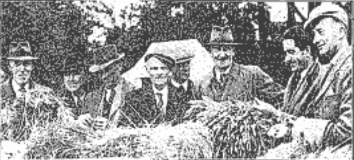Mr Mattic Connolly, Kinvara (third from right) submitted five exhibits at Loughrea Show and won five prizes - three firsts and two seconds.  With him in the photograph are, left to right; E. Tarpey, Kilrickle, Martin Hallinan, Ardrahan, C. Whoriskey, Ardrahan, Michael Brennan, Craughwell and, on Mr Connolly's right, Michael Bermingham, Kinvara with Mr Stan Hynes, Loughrea.