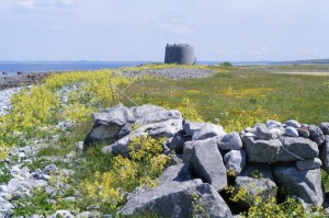 Martello Tower Aughinish Photo: A McCarron Wikimedia Commons