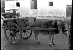 Donkey and Cart, Kinvara c.1950 Cresswell Archives