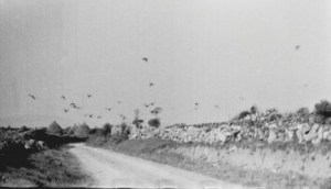 Kinvara c.1950 Cresswell Archives