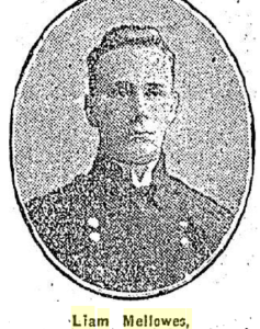 Liam Mellows