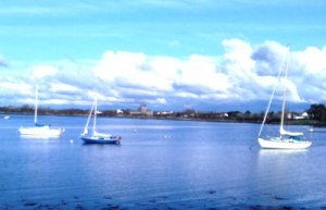 April in Kinvara Photo: EO'D