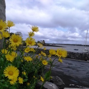 Rain on the wind EO'D