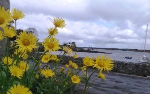 Kinvara Bay Photo: EO'D