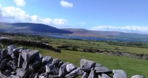 Burren Spring Photo: EO'D
