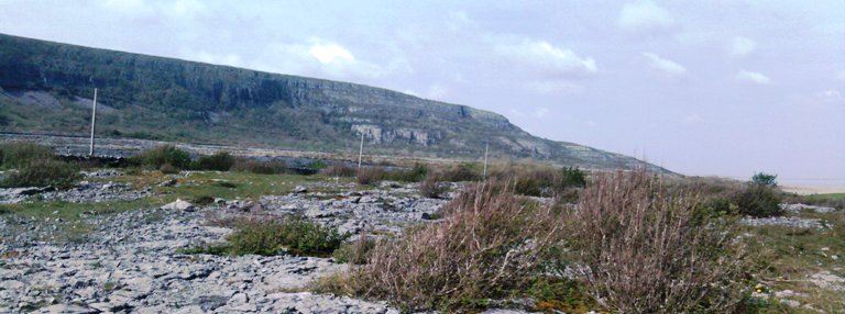 Burren