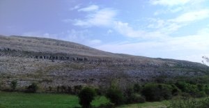 A walk in the Burren Photo: EO'D