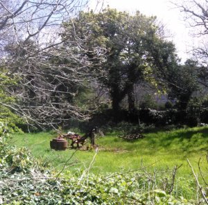 Burren light Photo: EO'D