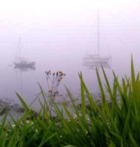 Morning mist Photo: EO'D