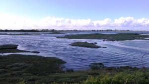 Tawnagh tides Photo: EO'D