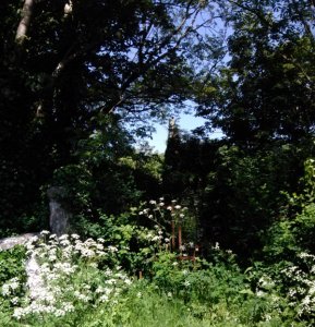 By Ardrahan Road, Kinvara Photo: EO'D