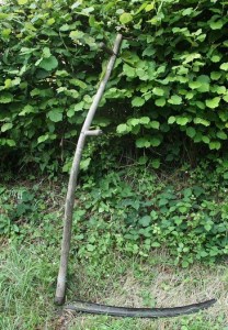 Photo: Richard New Forest Wikimedia Commons