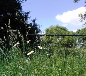 The quarter acre Photo: EO'D