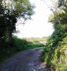 A bend in the road Tawnagh Co. Galway Photo: EO'D