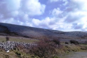 Burren walls Photo: EO'D