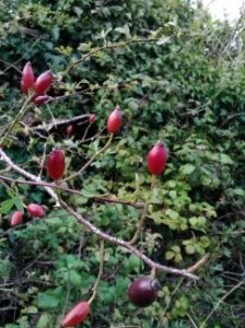 Down by Duras Photo: EO'D