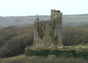 Ballinalackin Castle Bogman Wikimedia Commons