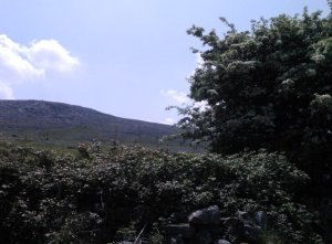 Burren hills Photo: EO'D