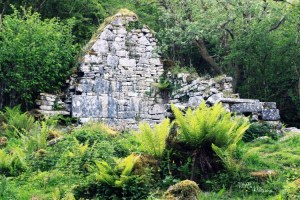 St Colman's Church Burren Photo: Norma Scheibe