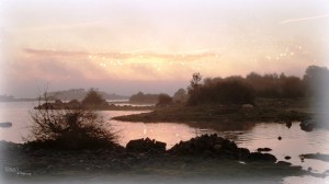 Tawnagh Photo: Norma Scheibe